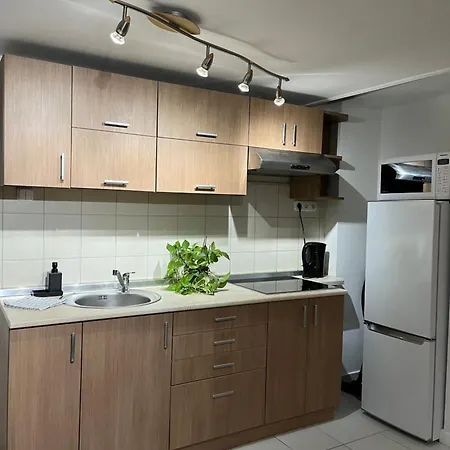 E 37 Downtown Whit Garage Opcional Budapeşte