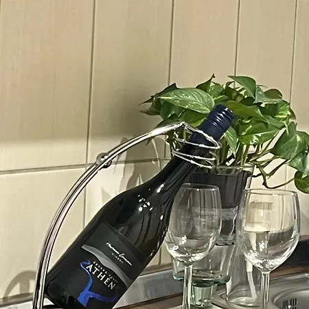 E 37 Downtown Whit Garage Opcional * 布达佩斯