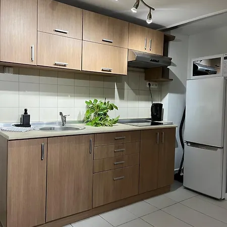 Διαμέρισμα E 37 Downtown Whit Garage Opcional *
