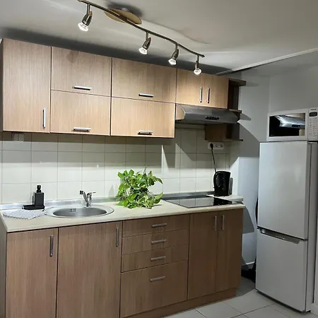 Διαμέρισμα E 37 Downtown Whit Garage Opcional Βουδαπέστη