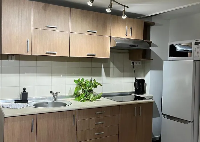 Apartament E 37 Downtown Whit Garage Opcional Budapeszt